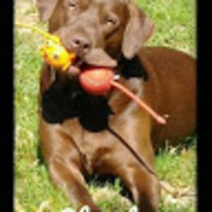 Meet your Posher, Lynn